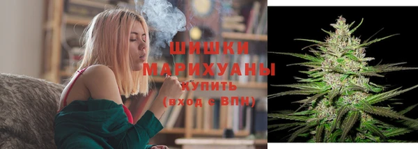 spice Вязьма