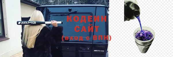 гашик Зуевка