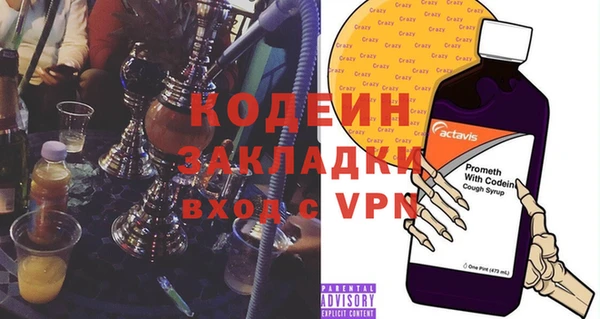 прущие грибы Вязники