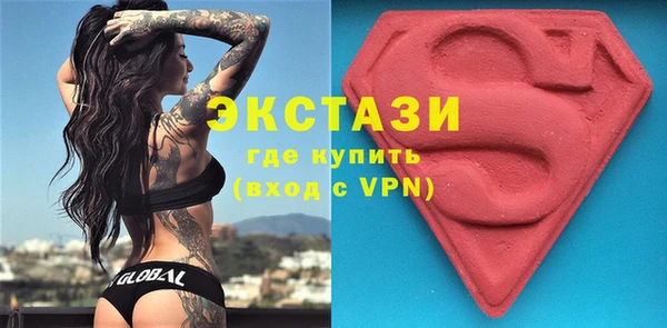 гашик Зуевка
