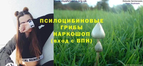 дживик Ивантеевка