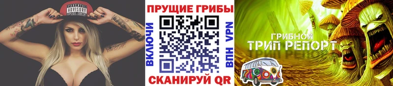 Псилоцибиновые грибы Psilocybine cubensis  Можайск 