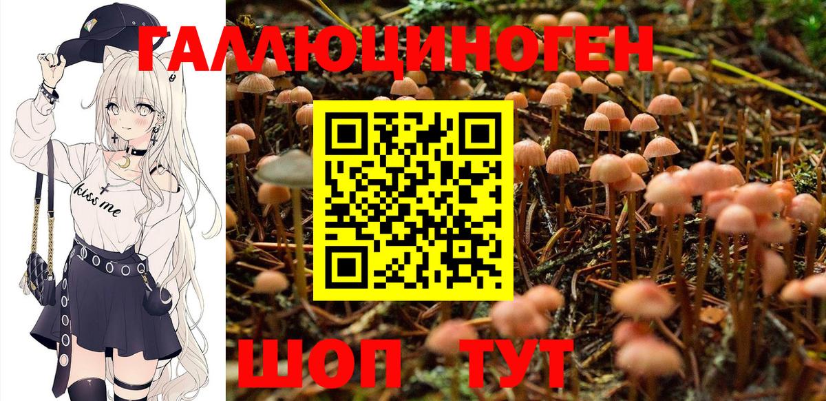 Галлюциногенные грибы MAGIC MUSHROOMS Можайск