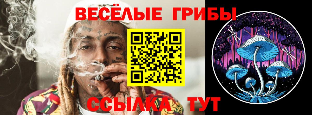 Псилоцибиновые грибы мицелий Можайск